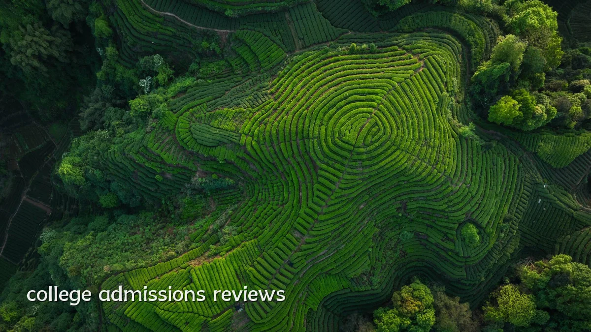 college admissions reviews