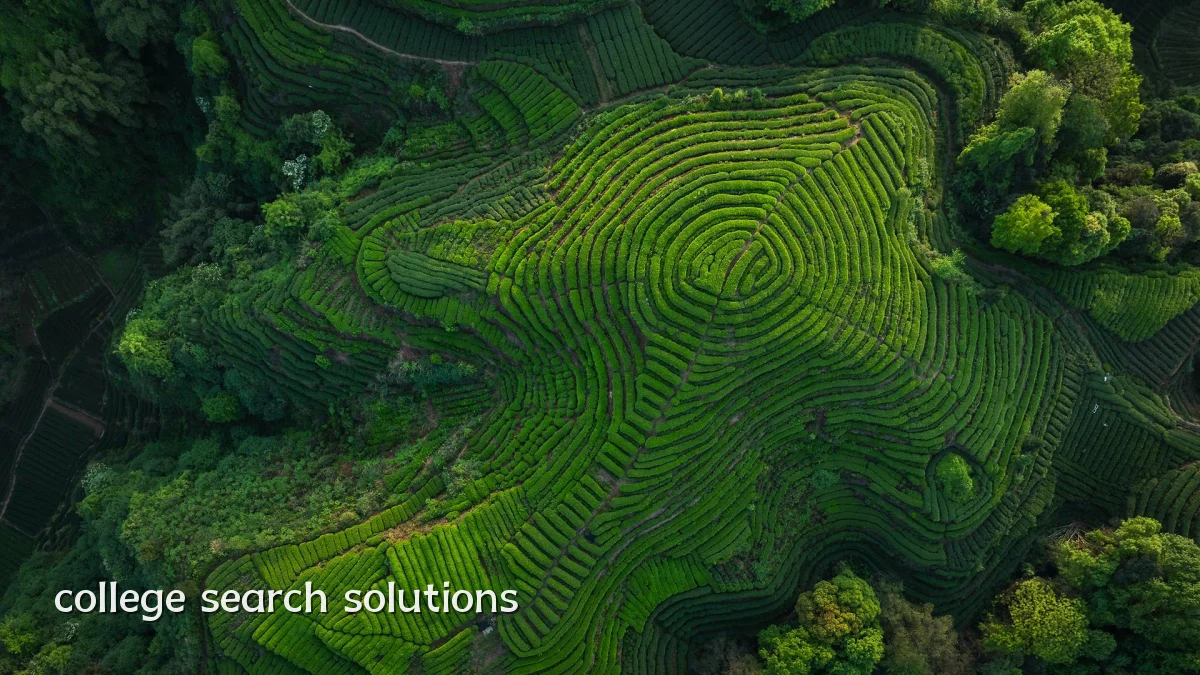 college search solutions