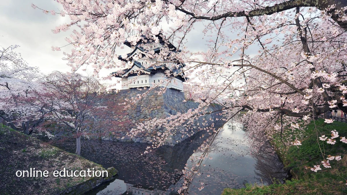 online education