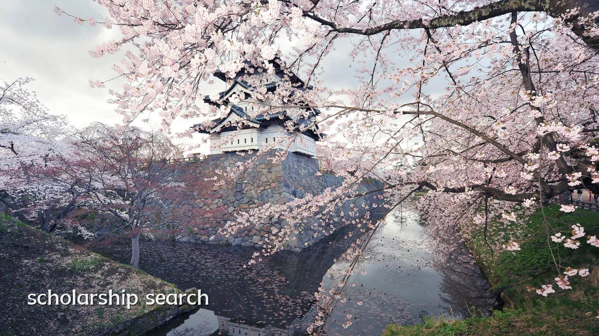 scholarship search