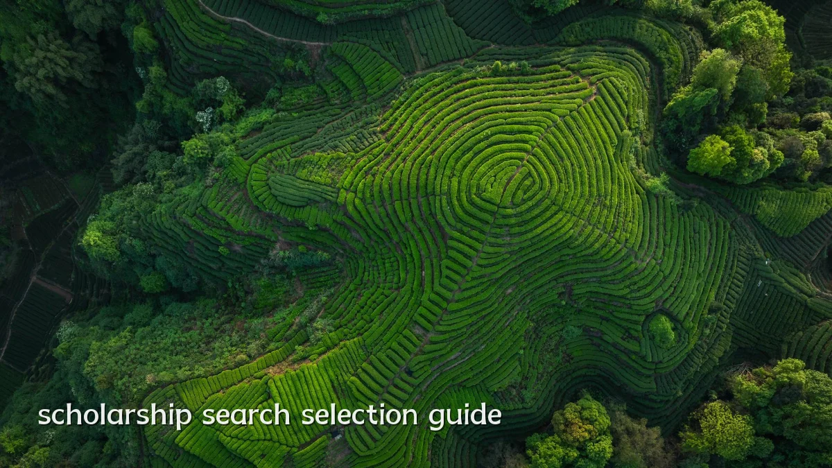scholarship search selection guide