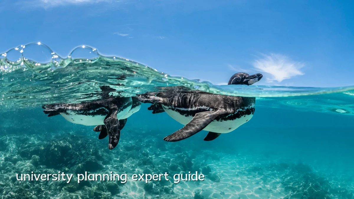university planning expert guide
