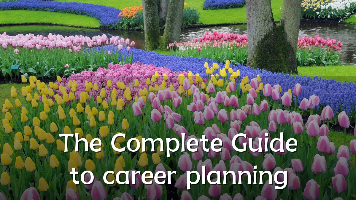 The Complete Guide to career planning
