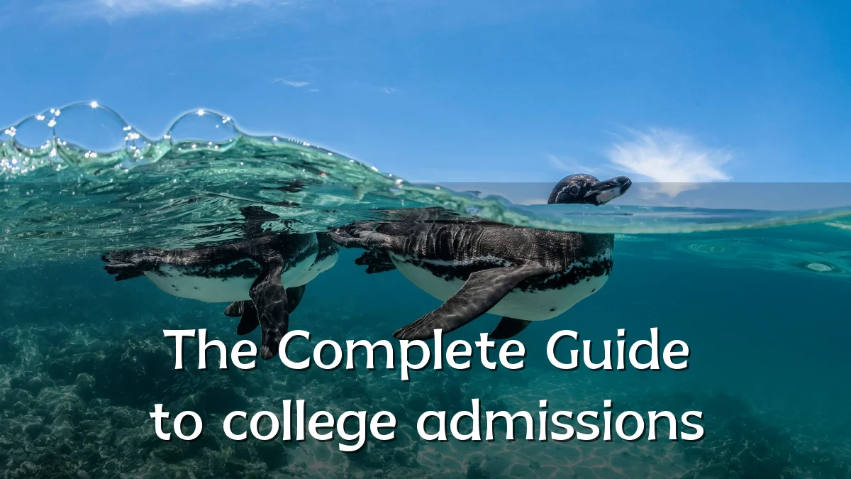 The Complete Guide to college admissions