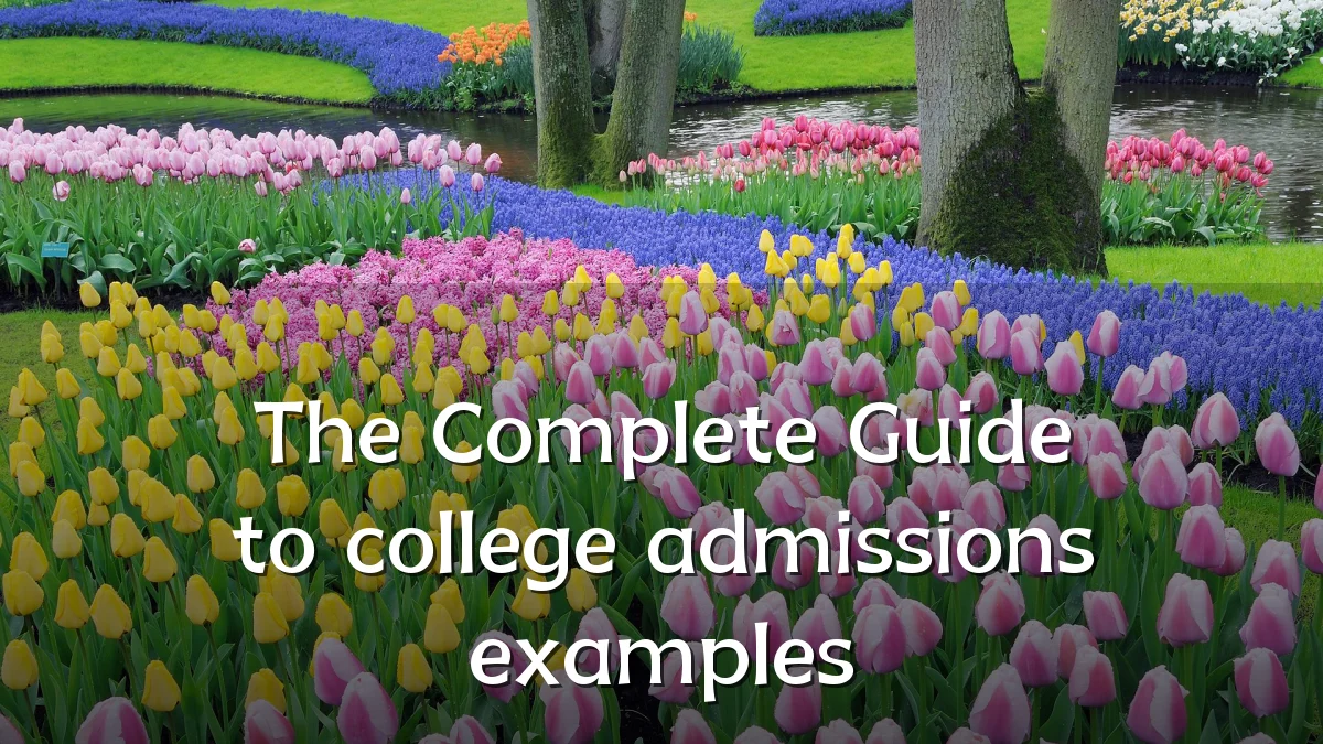 The Complete Guide to college admissions examples