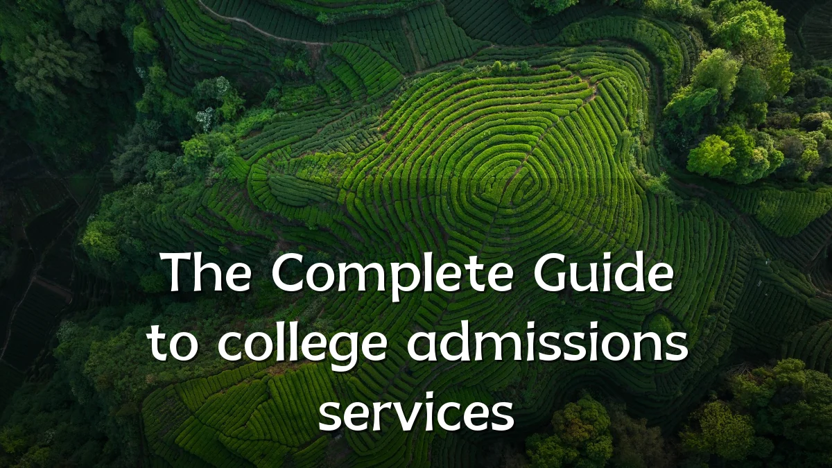 The Complete Guide to college admissions services