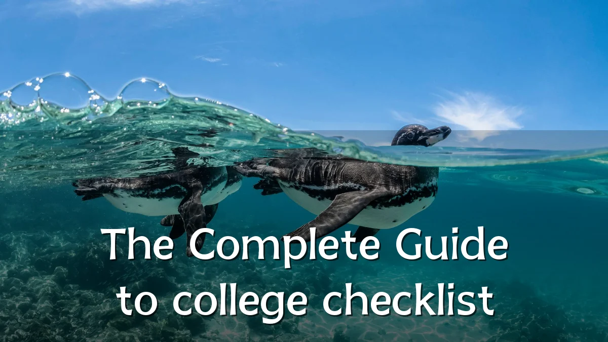 The Complete Guide to college checklist