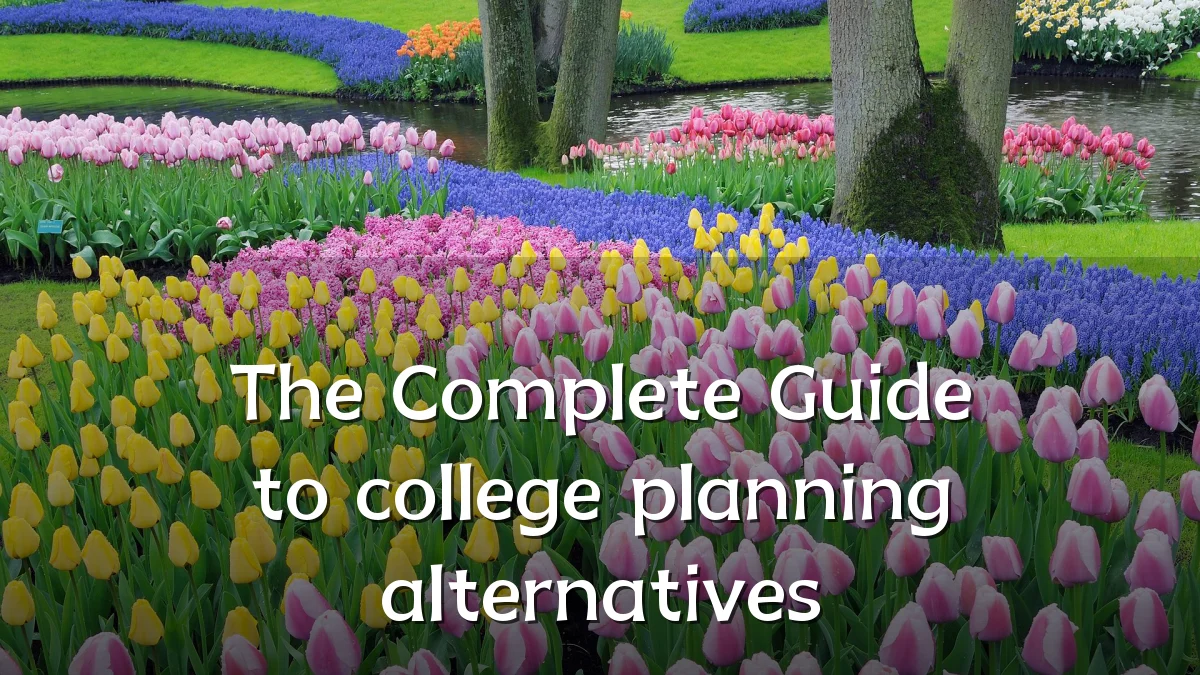 The Complete Guide to college planning alternatives