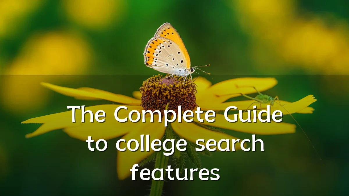 The Complete Guide to college search features