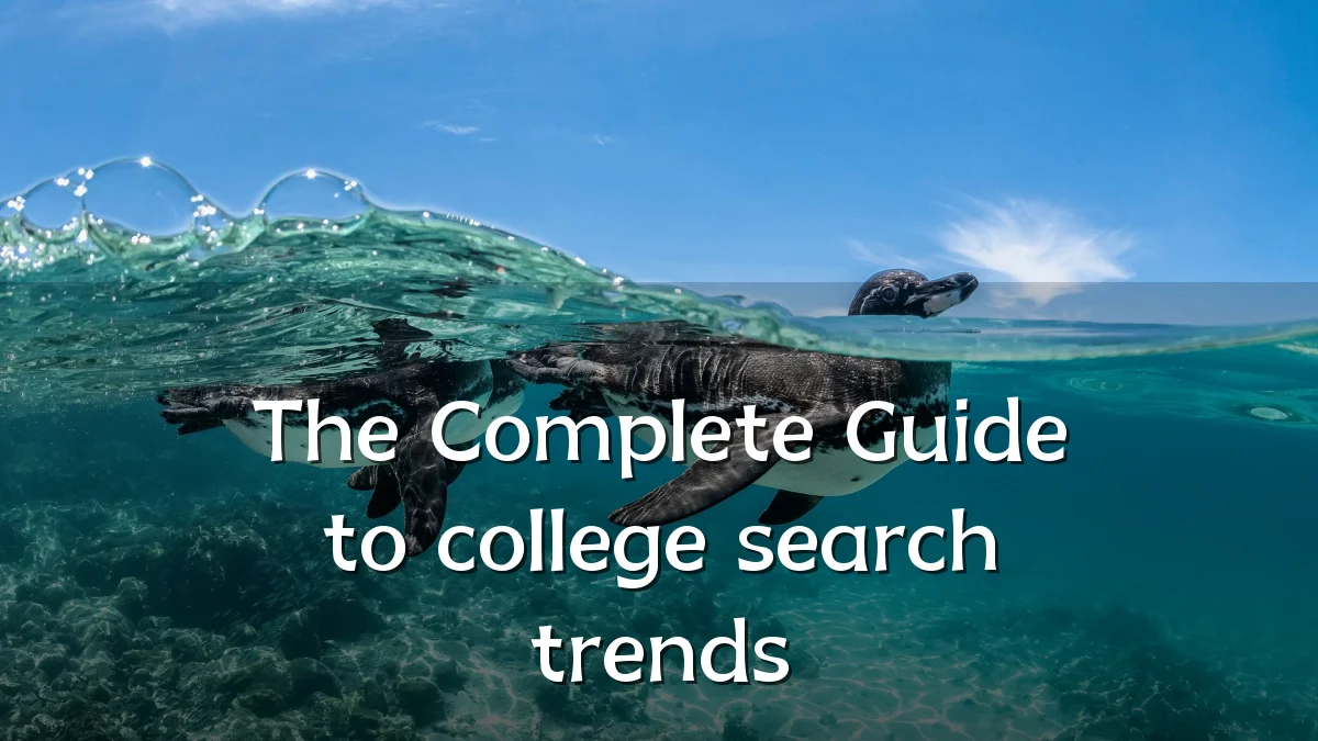 The Complete Guide to college search trends