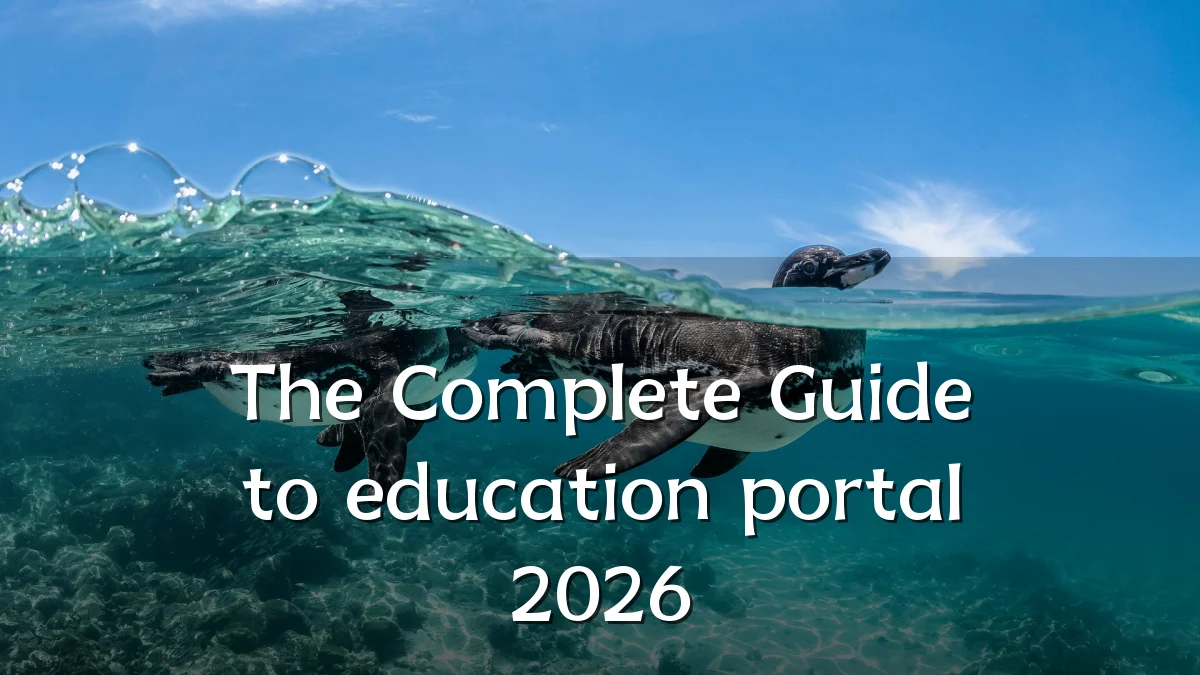 The Complete Guide to education portal 2026