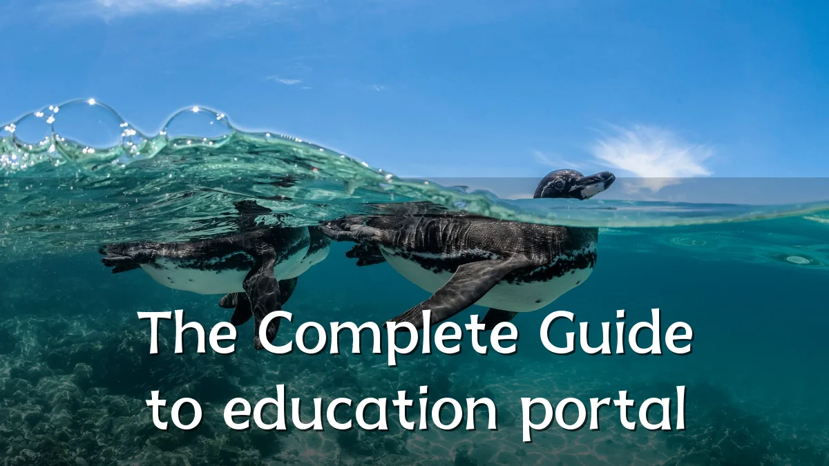 The Complete Guide to education portal
