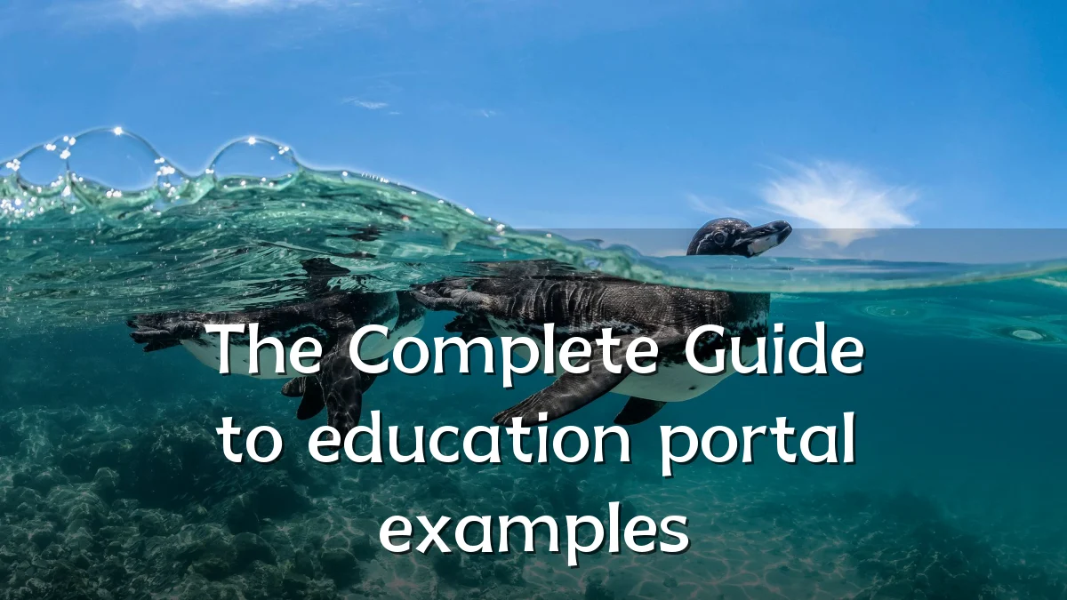 The Complete Guide to education portal examples
