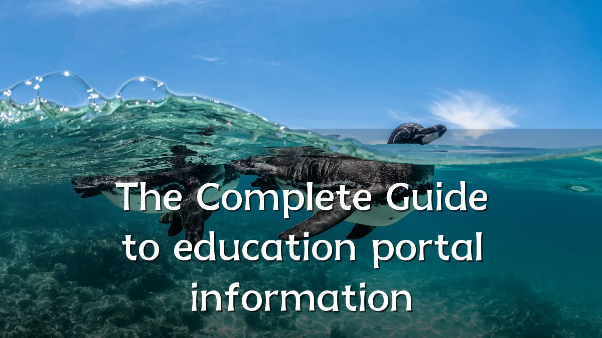 The Complete Guide to education portal information