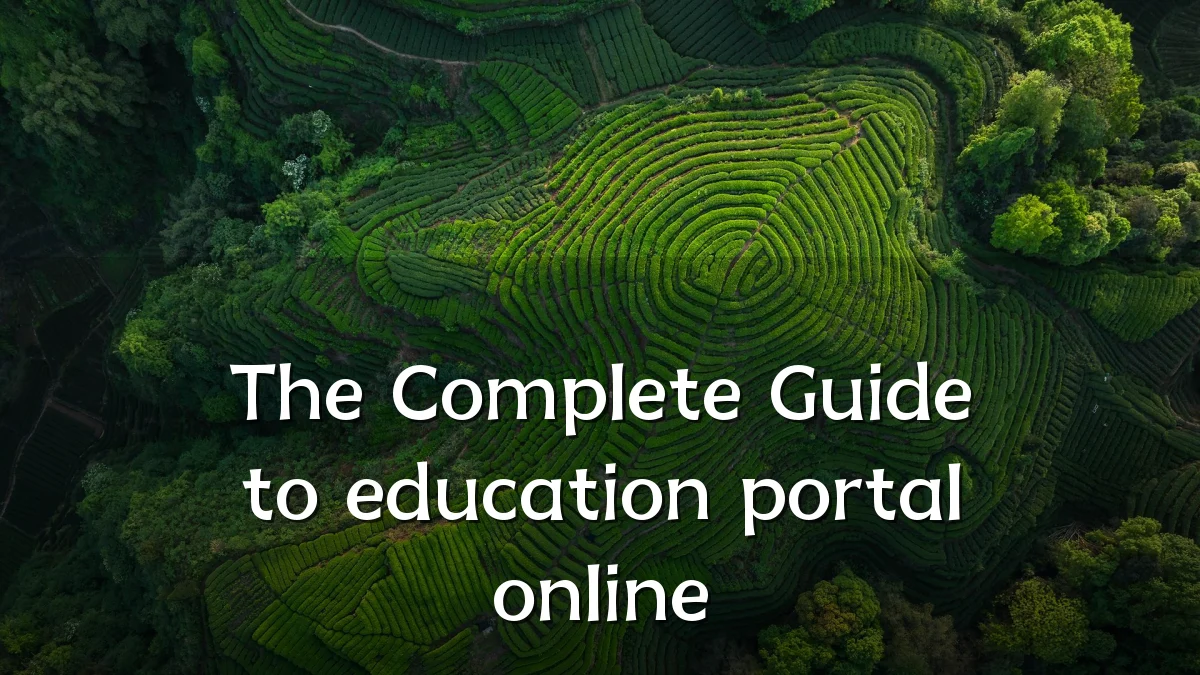 The Complete Guide to education portal online