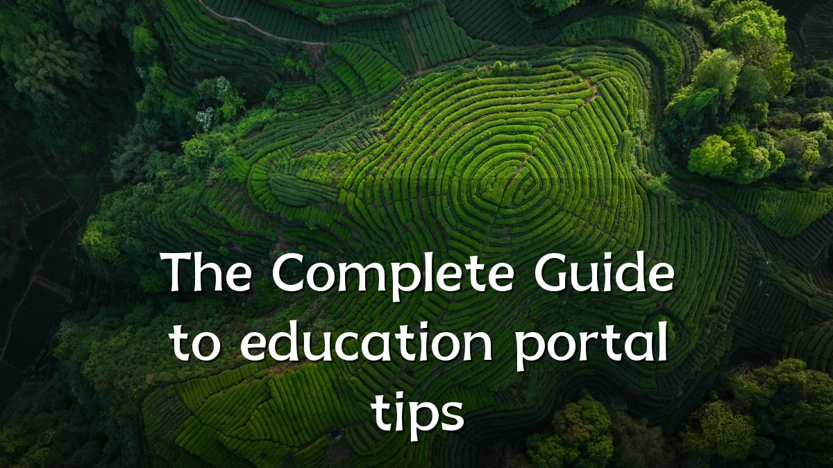 The Complete Guide to education portal tips