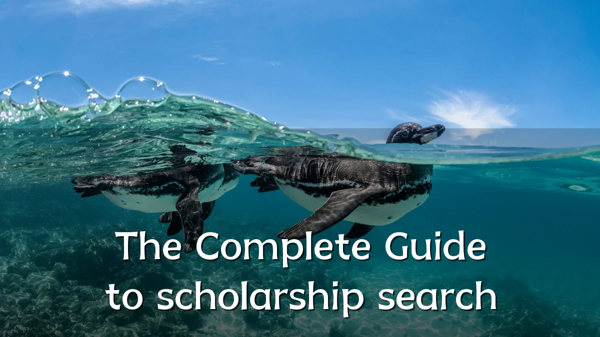 The Complete Guide to scholarship search