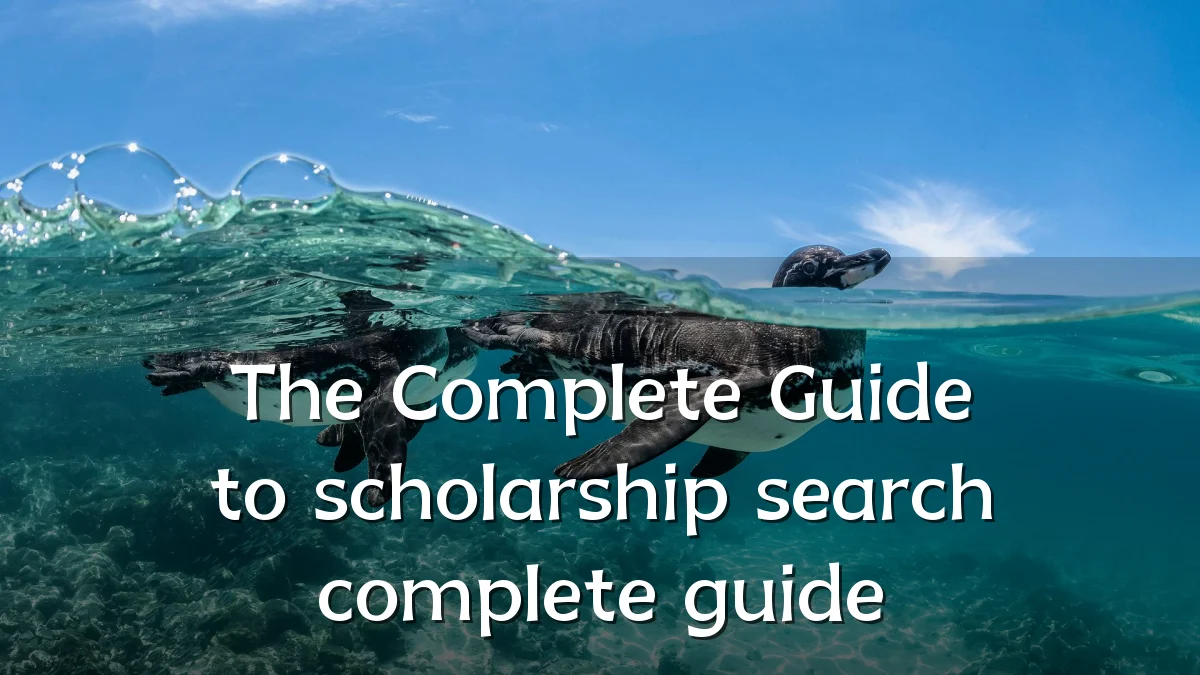 The Complete Guide to scholarship search complete guide