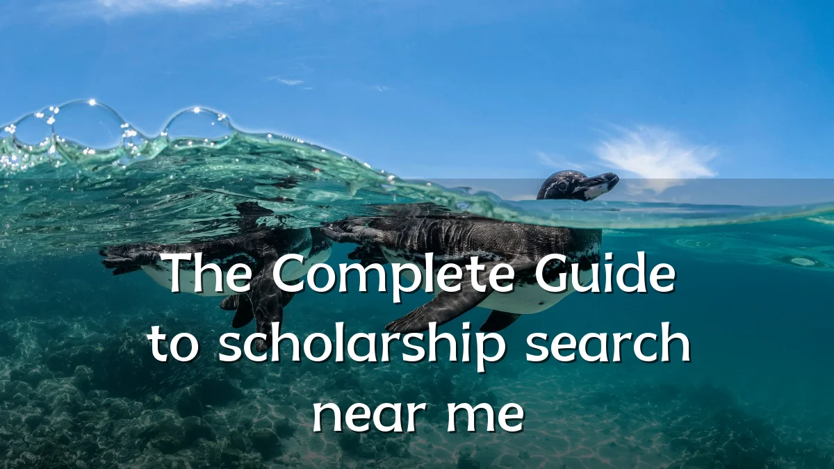 The Complete Guide to scholarship search near me