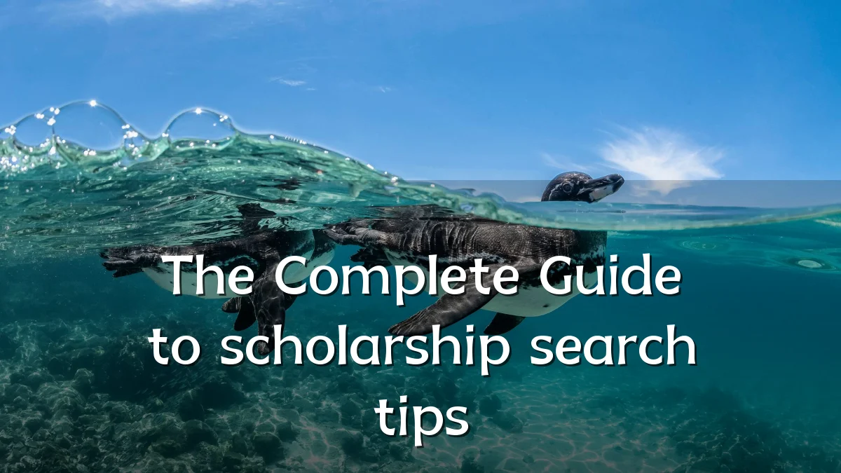 The Complete Guide to scholarship search tips