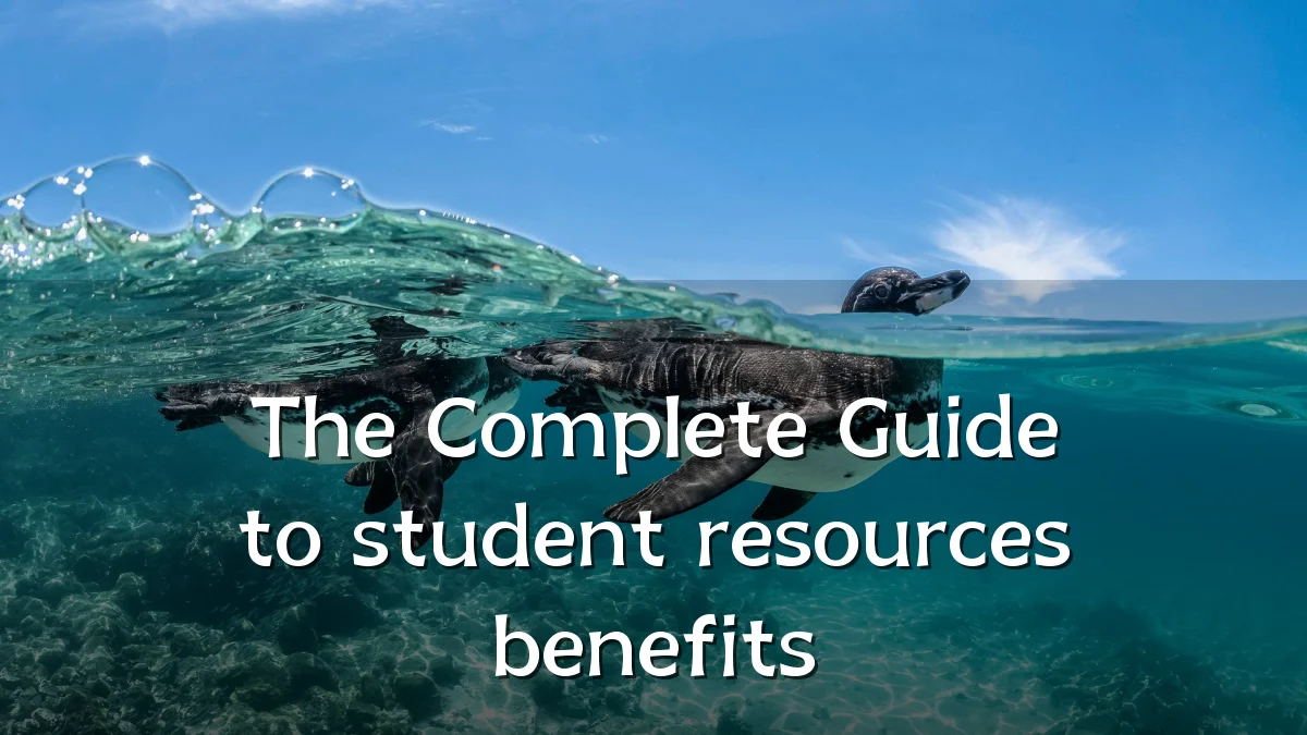The Complete Guide to student resources benefits