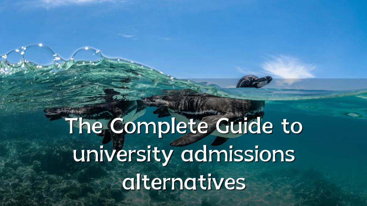 The Complete Guide to university admissions alternatives