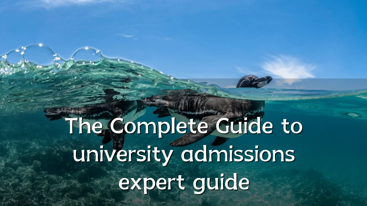 The Complete Guide to university admissions expert guide