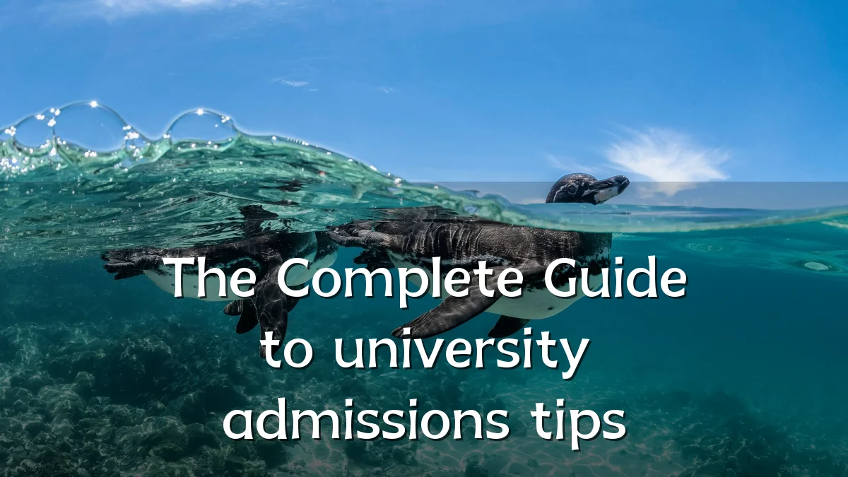 The Complete Guide to university admissions tips