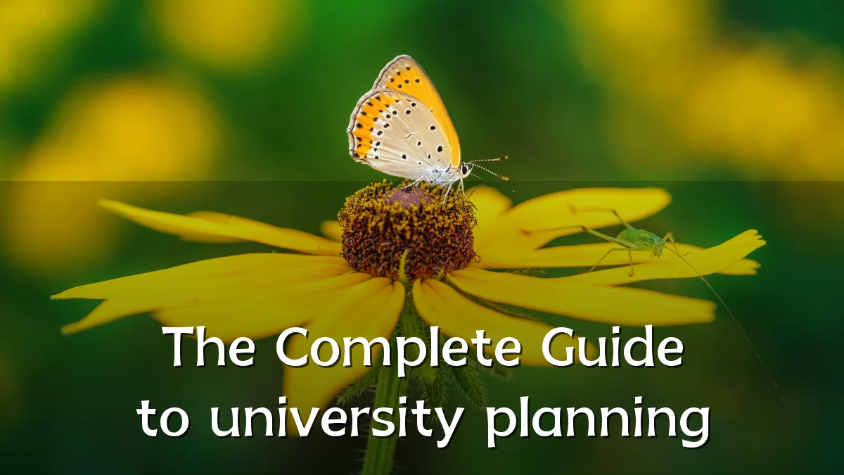 The Complete Guide to university planning