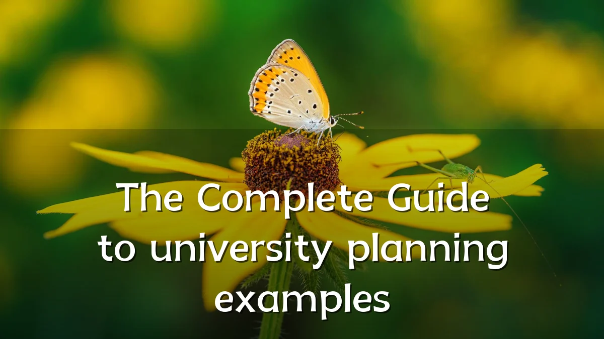 The Complete Guide to university planning examples