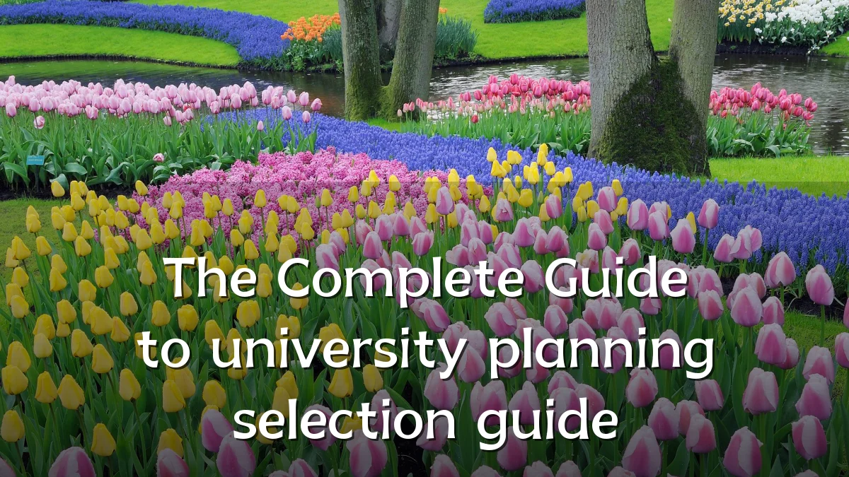The Complete Guide to university planning selection guide
