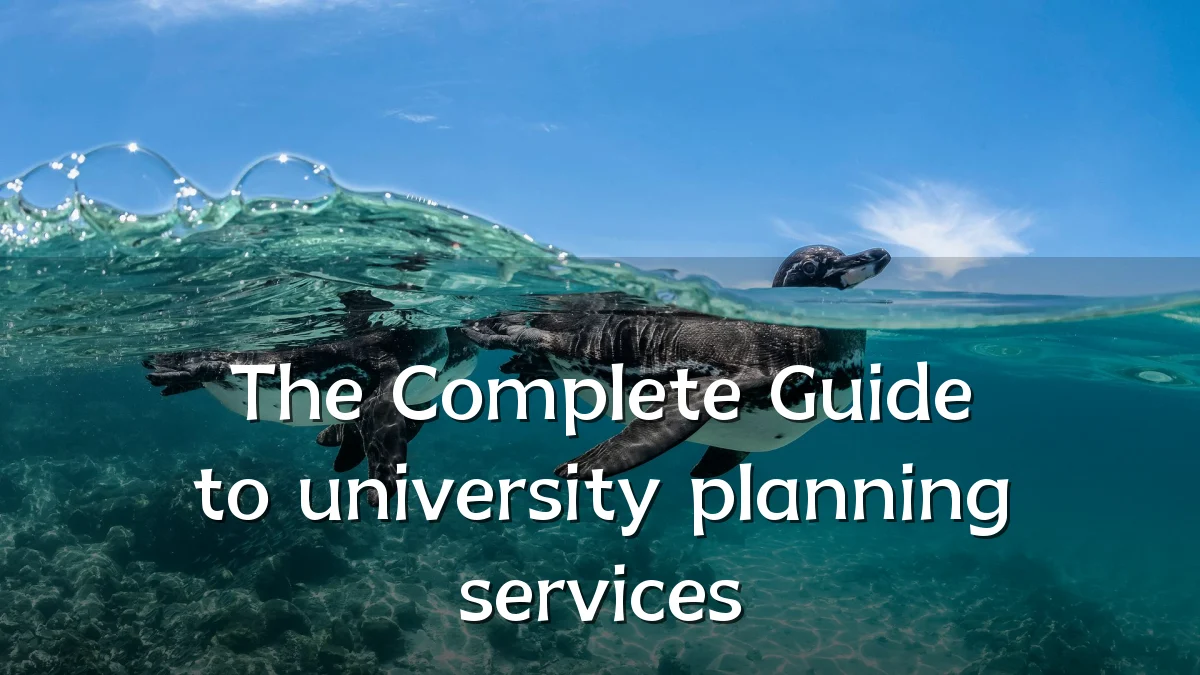 The Complete Guide to university planning services
