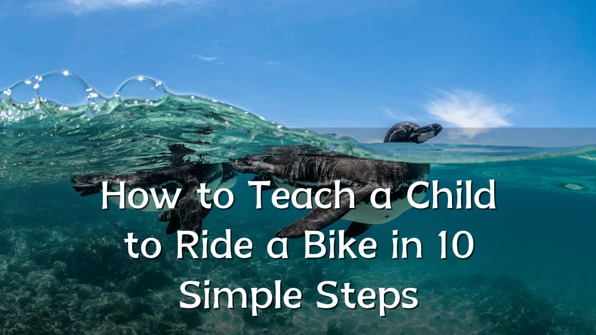 How to Teach a Child to Ride a Bike in 10 Simple Steps