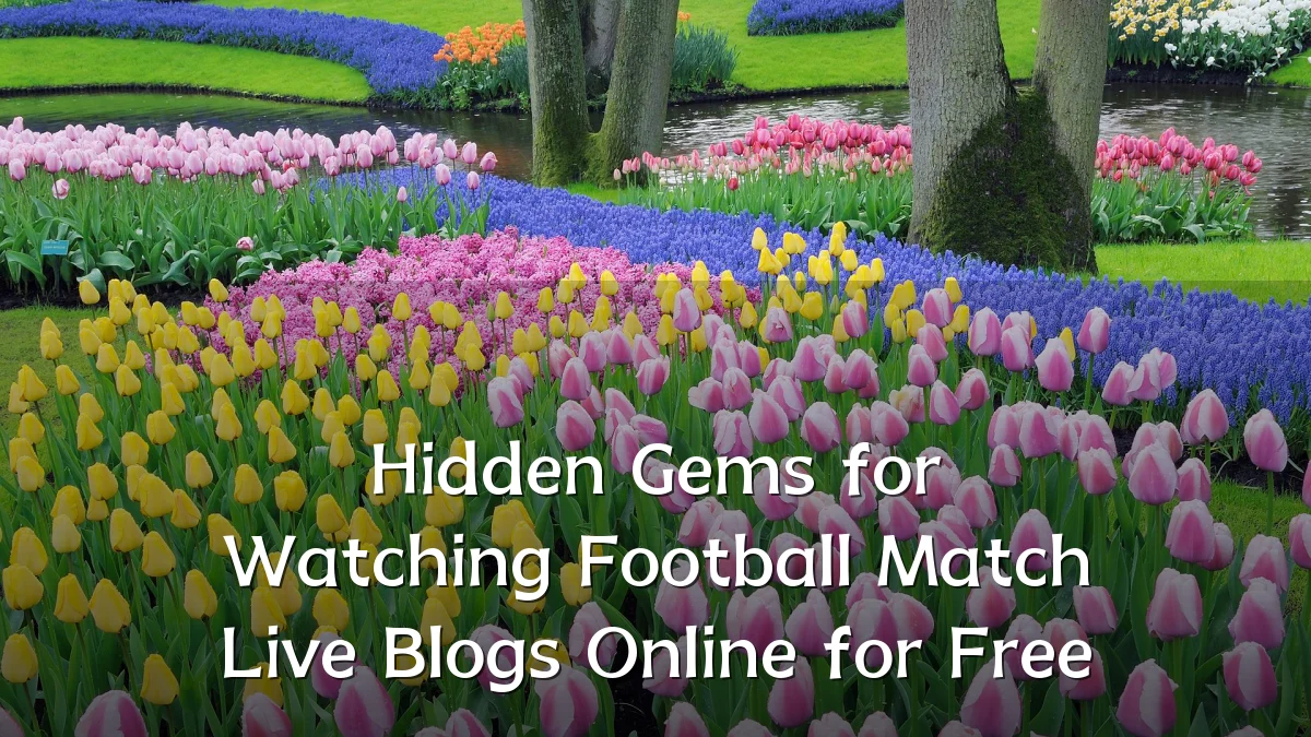 Hidden Gems for Watching Football Match Live Blogs Online for Free